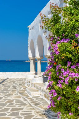 Yunanistan, Paros Adası, Parikia 'da dar sokakları, beyazlatılmış kilisesi ve çiçekleri olan geleneksel Kiklad sokağı.