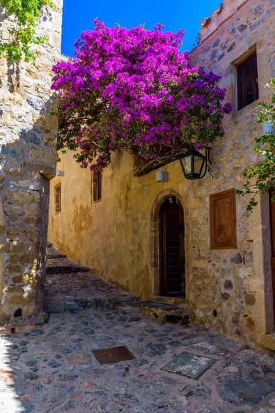 그리스 펠로폰네소스 라코니아 바시아의 성에서는 거리와 부갱빌 건축물 — 스톡 사진