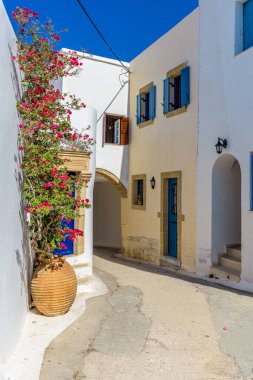 Yunanistan 'ın Chora Kythira adasında dar sokaklar, beyazlatılmış evler ve çiçek açan bir bougainvillea ile geleneksel ara sokak.