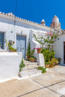 Yunanistan 'ın Chora Kythira adasında dar sokaklar, beyazlatılmış evler ve çiçek açan bir bougainvillea ile geleneksel ara sokak.
