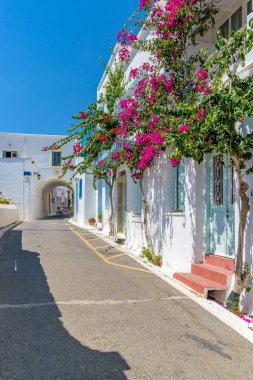 Yunanistan 'ın Chora Kythira adasında dar sokaklar, beyazlatılmış evler ve çiçek açan bir bougainvillea ile geleneksel ara sokak.