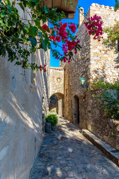 그리스 펠로폰네소스 라코니아 바시아의 성에서는 거리와 부갱빌 건축물 — 스톡 사진