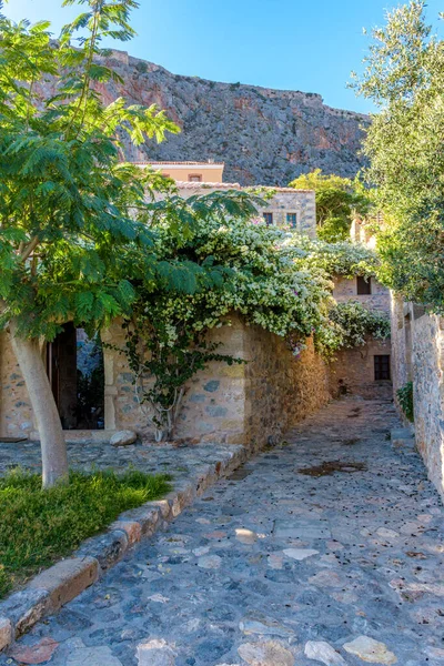 Traditionele Architectuur Met Smalle Stenen Straat Een Kleurrijke Bougainville Het — Stockfoto