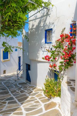 Lezbiyen Paros Yunan Adası 'ndaki manzaralı ara sokakta çiçek açan begonviller ve geleneksel evler var..