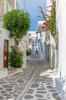 Yunanistan, Paros Adası, Parikia 'da dar sokakları, beyazlatılmış evleri ve çiçek açan begonvilleri olan geleneksel Kiklad sokağı..