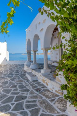 Yunanistan, Paros Adası, Parikia 'da dar sokakları, beyazlatılmış kilisesi ve çiçekleri olan geleneksel Kiklad sokağı.