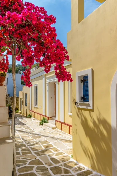 Picturesque Alley Lefkes Paros Greek Island Full Blooming Bougainvillea Traditional — Stock Photo, Image