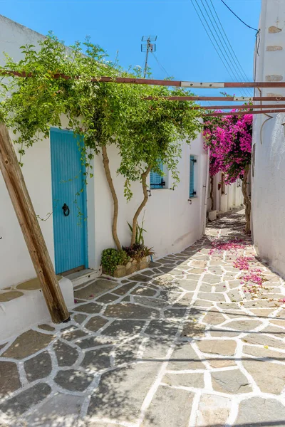 Traditionell Gränd Med Vitkalkade Hus Och Full Blommande Bougainvillea Prodromos — Stockfoto