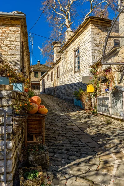 エピロス ザゴリの美しい村のパピゴの秋の季節の間の石の通りの伝統的な建築ギリシャ — ストック写真
