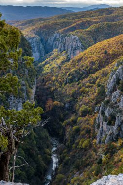 Vikos, Yunanistan 'ın Zagori Epirus kentindeki Tsepelovo yakınlarında sonbahar renkleriyle Tymfi dağını doldurdu.