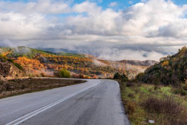 Aspraggeloi köyü yakınlarında sonbahar renkleri olan ormanın sokak manzarası