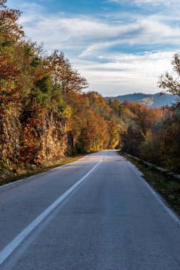 Yunanistan 'ın Zagori Epirus kentindeki Tymfi dağında sonbahar renkleriyle ormanı geçen bir caddenin manzarası.
