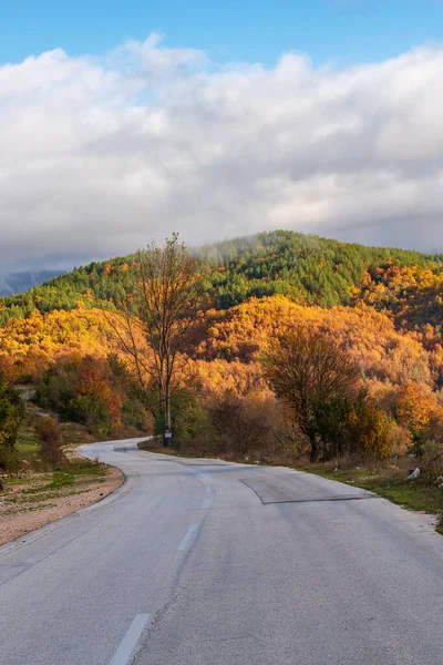 Aspraggeloi köyü yakınlarında sonbahar renkleri olan ormanın sokak manzarası