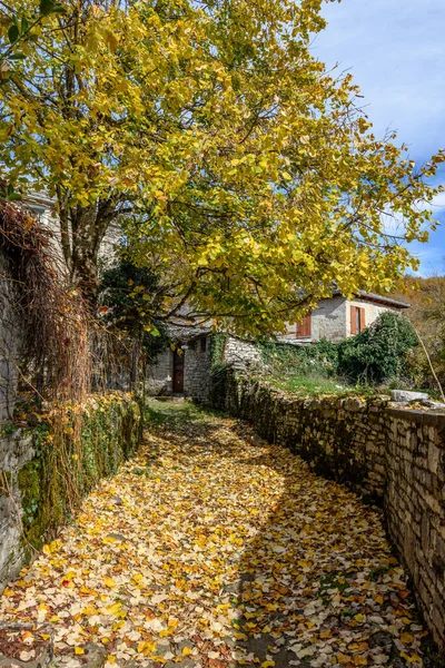 Pintoresco Pueblo Koukouli Durante Temporada Otoño Con Sus Edificios Piedra — Foto de Stock