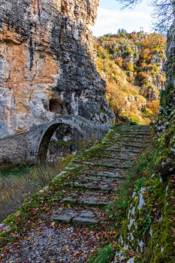 Kokori 'nin sonbahar mevsiminde Zagori, Epirus Yunanistan' daki Voidomatis nehrinde yer alan eski kemer taşı köprüsü (Noutsos).
