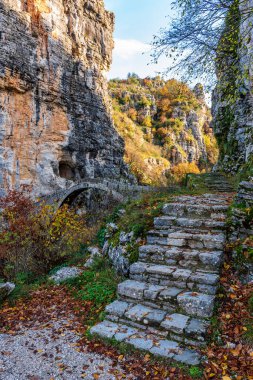 Kokori 'nin sonbahar mevsiminde Zagori, Epirus Yunanistan' daki Voidomatis nehrinde yer alan eski kemer taşı köprüsü (Noutsos).