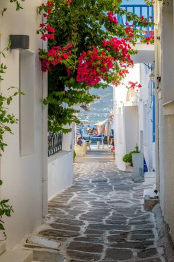 Yunanistan 'ın Naousa Paros Adası' nda denize açılan dar bir sokağa, beyazlatılmış evlere ve çiçek açan bir bougainvillea 'ya sahip geleneksel Cycladitic sokağı