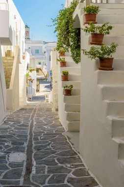 Yunanistan 'ın Naousa Paros Adası' nda dar sokakları, beyaz boyalı evleri ve çiçekli merdivenleri olan geleneksel Kiklad sokağı.