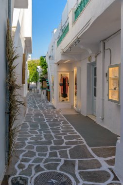 Yunanistan 'ın Naousa Paros adasında dar bir caddesi, geleneksel mağazaların cepheleri ve beyazlatılmış evleri olan geleneksel Kiklad sokağı.