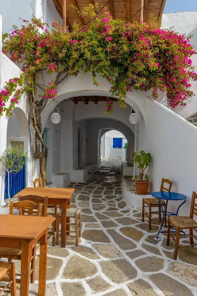 Традиційна Алея Побіленими Будинками Зовнішнє Оформлення Грецької Таверни Бугенвілеї Острові — стокове фото