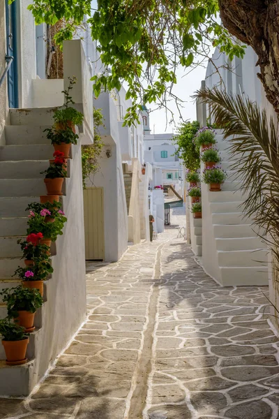 그리스의 파로스 섬에는 집들과 계단들이 전통적 라디아식 골목길과 꽃들이 — 스톡 사진