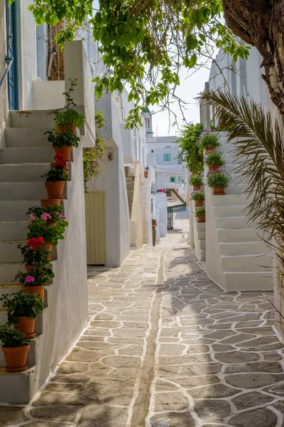 Traditionele Cycladitische Steeg Met Smalle Straat Witgekalkte Huizen Trappen Met — Stockfoto