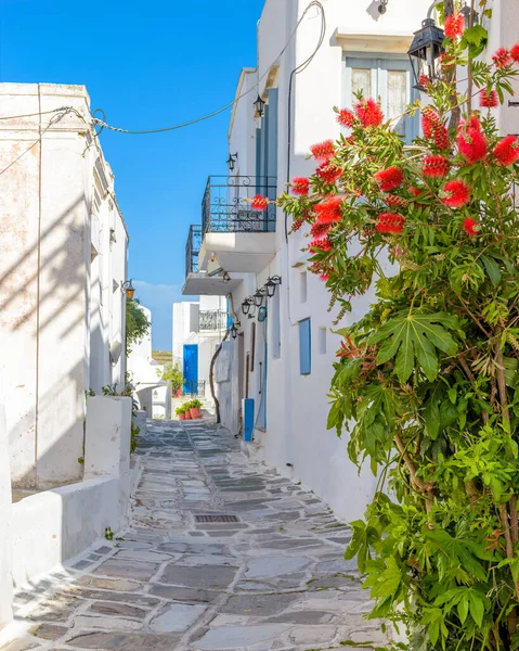 Hagyományos Kerékpáros Sikátor Fehérre Meszelt Házakkal Virágokkal Paros Szigetén Görögország — Stock Fotó
