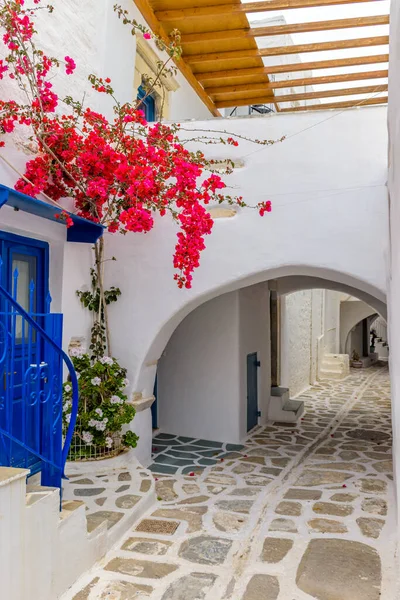 Tradicional Beco Cicládico Com Rua Estreita Casas Caiadas Branco Bougainvillea — Fotografia de Stock