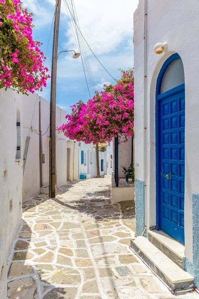 Beco Pitoresco Prodromos Paros Ilha Grega Com Buganvília Florescendo Completo — Fotografia de Stock