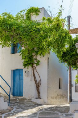 Yunanistan 'ın başkenti Paros' ta dar bir caddesi, beyazlatılmış evleri olan geleneksel Kiklad sokağı
