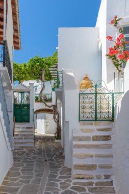 Dar bir sokağı, beyazlatılmış evleri ve Parikia, Paros Adası, Yunanistan 'da çiçek açan begonvilleri olan geleneksel Kiklad sokağı..