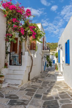 Yunanistan 'ın başkenti Paros' ta bulunan Paros adasında, arka planda çiçek açan bir bougainvillea ve Agia Triada 'nın kristian kilisesi yer alıyor.