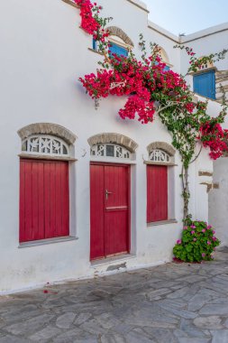 Yunanistan 'ın Tinos Adası' nda dar bir sokağı, beyazlatılmış evleri ve çiçek açan begonvilleri olan geleneksel bir ara sokak..