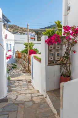 Yunanistan 'ın Tinos Adası' nda dar bir sokağı, beyazlatılmış evleri ve çiçek açan begonvilleri olan geleneksel bir ara sokak..