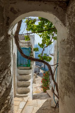 Yunanistan 'ın Tinos Adası' nda dar bir sokağı, mavi kapısı, sarmaşığı ve kemeri olan beyaz bir evi olan geleneksel bir sokak..
