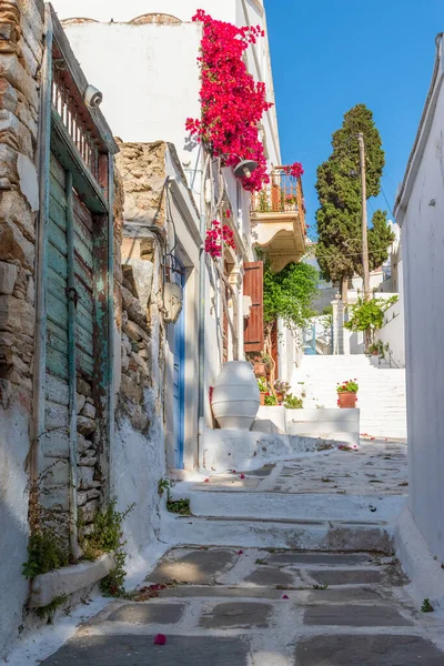 Yunanistan Tinos Adası Nda Dar Bir Sokağı Beyazlatılmış Evleri Çiçek — Stok fotoğraf