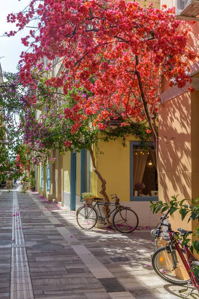 Scenic Kilátás Macskaköves Utca Homlokzatok Üzletek Egy Teljes Virágzó Bougainvillea — Stock Fotó