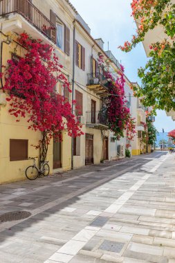 Yunanistan 'ın eski Nafplio Argolis kentinde kaldırımlı cadde manzarası, dükkan cepheleri ve tam teşekküllü bir begonvil manzarası.