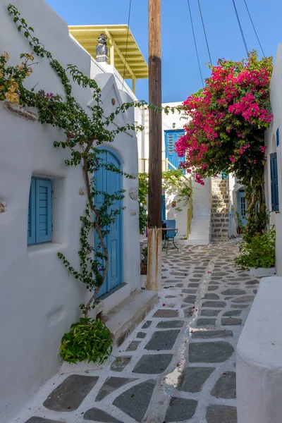 Traditionell Cykladitisk Gränd Med Smal Gata Vitkalkade Hus Och Blommande — Stockfoto