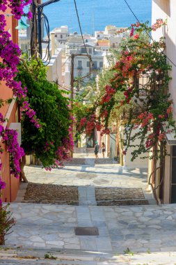 Yunanistan 'ın Siros adasındaki Ermoupolis adasında geleneksel evlerin sokak manzarası ve renkli bir bougainvillea ağacı