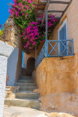 Yunanistan 'ın ano Syros bölgesinde dar sokaklar, geleneksel evler ve çiçek açan bougainvillea ile geleneksel sikladitik sokak