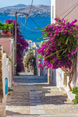 Ermoupolis 'e giden merdivenlerin manzarası Ermoupolis, Syros Adası, Yunanistan' da geleneksel renkli bougainvillea evleriyle