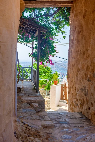 Callejón Cicladitico Tradicional Con Calle Estrecha Casas Tradicionales Una Buganvilla —  Fotos de Stock