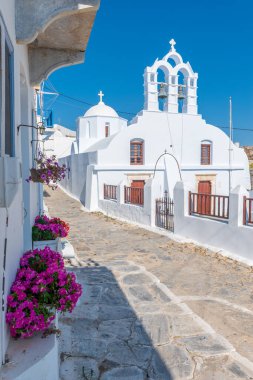 Geleneksel sikladik sokak, dar bir sokak, beyazlatılmış bir kilise ve çiçek açan çiçekler Chora Amorgos Yunanistan 'da