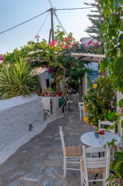 Geleneksel bir kafe, beyazlatılmış bir duvar ve çiçek açan Yunanistan 'ın Chora Amorgos şehrinde geleneksel bir sikladik sokak.