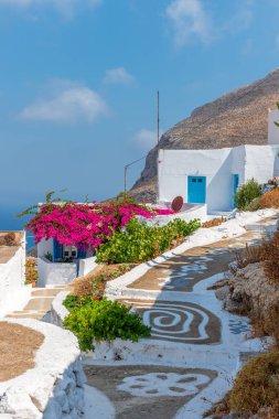 Dar bir sokağı, beyazlatılmış evleri ve Tholaria, Amorgos Yunanistan 'da çiçek açan begonvilleri olan geleneksel sikladik sokak.
