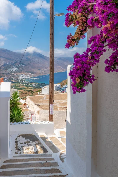 Traditional Cycladitic Alley Narrow Street Whitewashed Houses Blooming Bougainvillea Tholaria — Stock Photo, Image