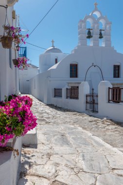 Geleneksel sikladik sokak, dar bir sokak, beyazlatılmış bir kilise ve çiçek açan çiçekler Chora Amorgos Yunanistan 'da