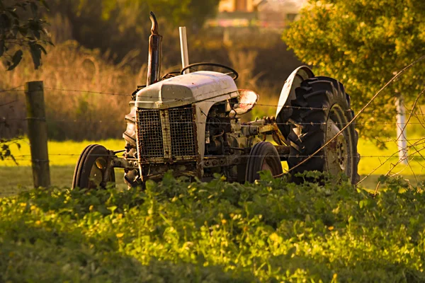 Vecchio trattore all'alba — Foto Stock