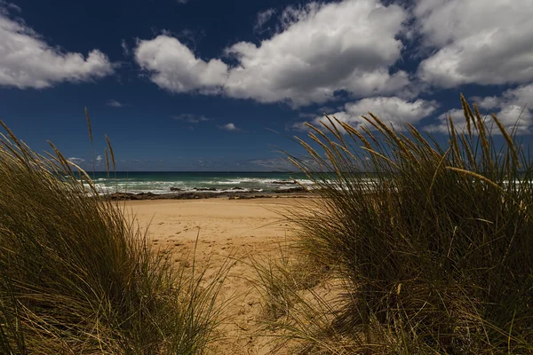 Grass Sand Sea and Sky — Stock Photo, Image